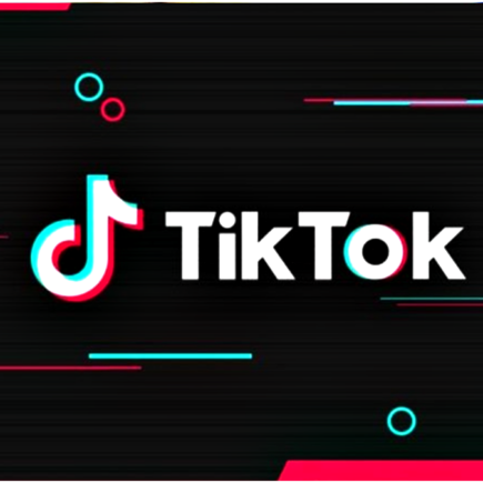 Transforme sua audiência do TikTok em tráfego qualificado para seu site de notícias.